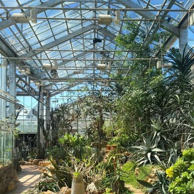 La culture de légumes hydroponiques avancés dans de grandes serres en verre