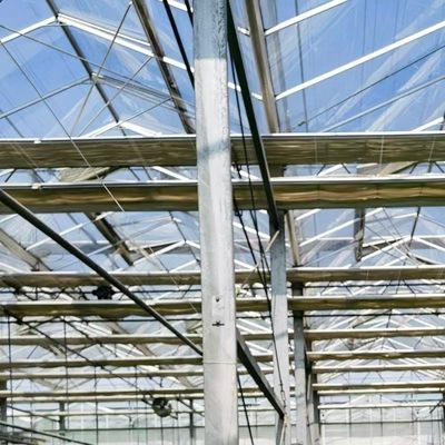 Une serre en verre de toit pour les légumes hydroponiques