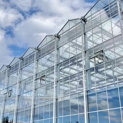 Une serre en verre de toit pour les légumes hydroponiques