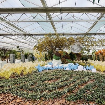 Une serre en verre de toit pour les légumes hydroponiques