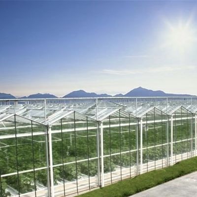 Une serre en verre de toit pour les légumes hydroponiques