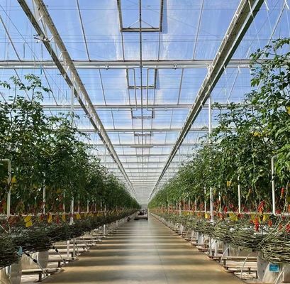 US Float single span greenhouse pour les légumes/fruits/fleurs et restitutions de restitution