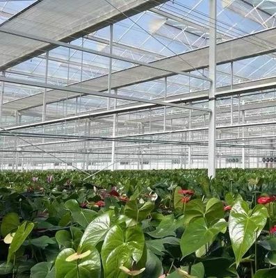 US Float single span greenhouse pour les légumes/fruits/fleurs et restitutions de restitution