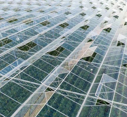 US Float single span greenhouse pour les légumes/fruits/fleurs et restitutions de restitution
