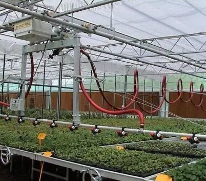 Système d'écran d'ombrage multifonctionnel pour la culture d'arbres végétaux Serre en acier