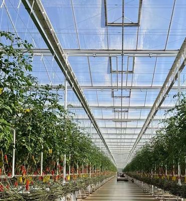 Système d'écran d'ombrage multifonctionnel pour la culture d'arbres végétaux Serre en acier