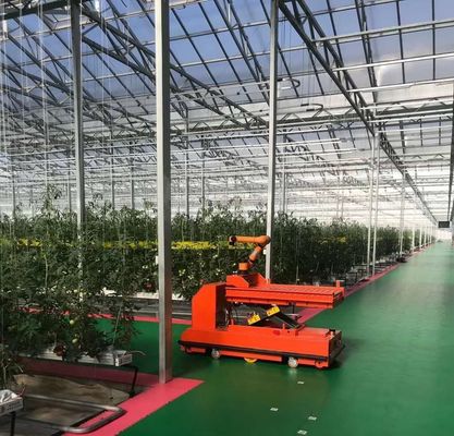 Système de culture hydroponique en serre commerciale JX-h0075 pour la production de légumes
