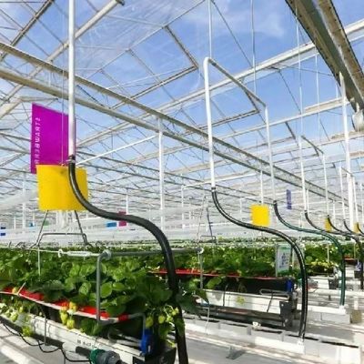 Système hydroponique de toiture de type A pour les légumes de serre en verre
