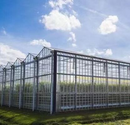 Structure en acier Système de culture hydroponique Venlo pour la culture hydroponique de légumes