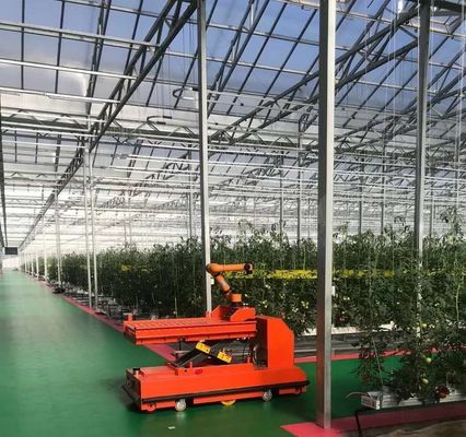 Serre à double couche pour la plantation de légumes avec irrigation à goutte à goutte et structure en acier