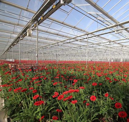 Serre à double couche pour la plantation de légumes avec irrigation à goutte à goutte et structure en acier