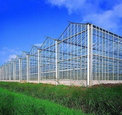 Serre à double couche pour la plantation de légumes avec irrigation à goutte à goutte et structure en acier