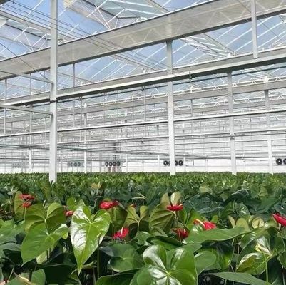 Serre à double couche pour la plantation de légumes avec irrigation à goutte à goutte et structure en acier