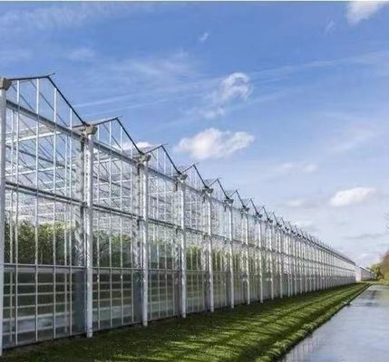 Serre à double couche pour la plantation de légumes avec irrigation à goutte à goutte et structure en acier