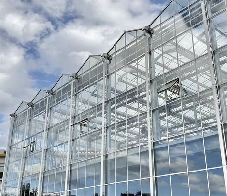 Forme de toiture Serre en verre de type multi-étendue avec hydroponie