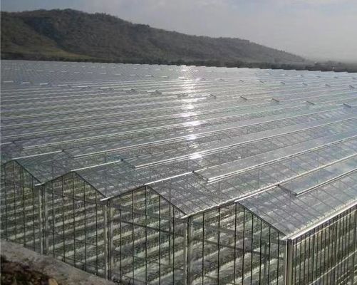 Bonne transmission lumineuse Couverture en verre Serre Venlo avec option de personnalisation
