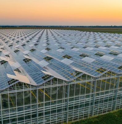 Bonne transmission lumineuse Couverture en verre Serre Venlo avec option de personnalisation
