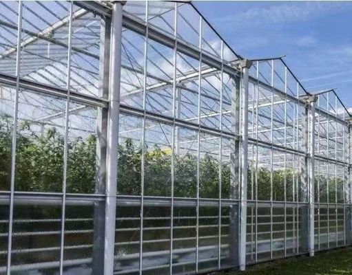 Bonne transmission lumineuse Couverture en verre Serre Venlo avec option de personnalisation