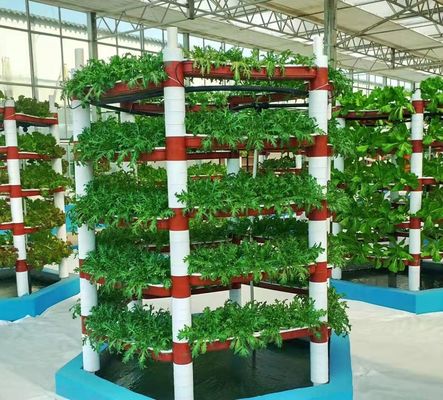 Environnement contrôlé pour les semences/légumes/fruits/fleurs Serre hydroponique pour les semis