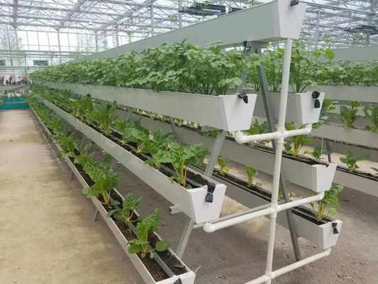 Environnement contrôlé pour les semences/légumes/fruits/fleurs Serre hydroponique pour les semis