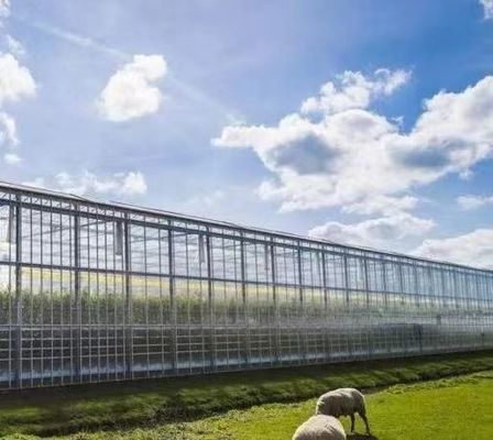 Environnement contrôlé pour les semences/légumes/fruits/fleurs Serre hydroponique pour les semis
