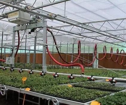 Environnement contrôlé pour les semences/légumes/fruits/fleurs Serre hydroponique pour les semis