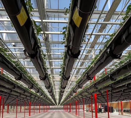 Structure de semis hydroponique anti-goutte à goutte et anti-brouillard parfaite pour les besoins des clients