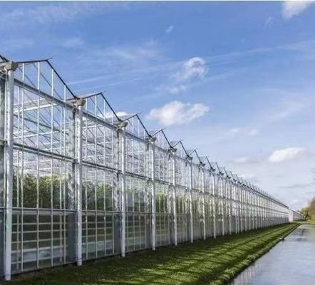 Structure de semis hydroponique anti-goutte à goutte et anti-brouillard parfaite pour les besoins des clients