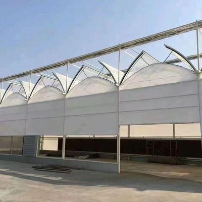 Structure de semis hydroponique anti-goutte à goutte et anti-brouillard parfaite pour les besoins des clients