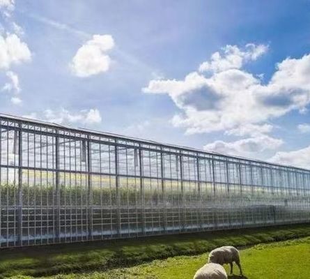 Structure de semis hydroponique anti-goutte à goutte et anti-brouillard parfaite pour les besoins des clients
