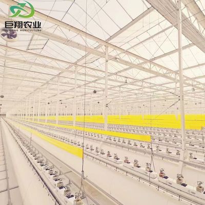 Serre en feuille de polycarbonate Serre Rdgu0808h-10mm avec équipement US et agricole