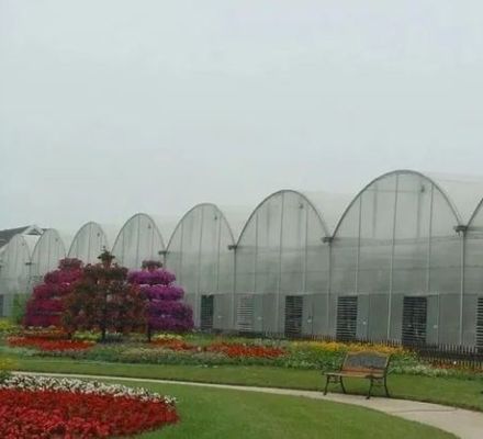 Serre en feuille de polycarbonate Serre Rdgu0808h-10mm avec équipement US et agricole