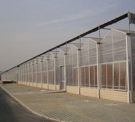 Serre en feuille de polycarbonate Serre Rdgu0808h-10mm avec équipement US et agricole