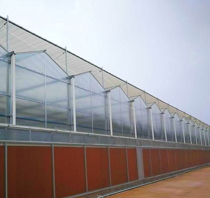 Serre en feuille de polycarbonate Serre Rdgu0808h-10mm avec équipement US et agricole