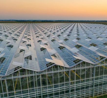 Serre en feuille de polycarbonate Serre Rdgu0808h-10mm avec équipement US et agricole