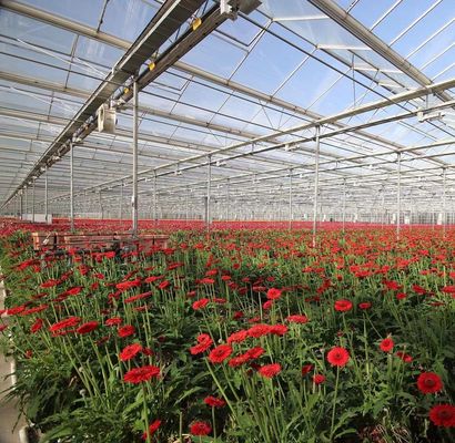 Serre en feuille de polycarbonate Serre Rdgu0808h-10mm avec équipement US et agricole