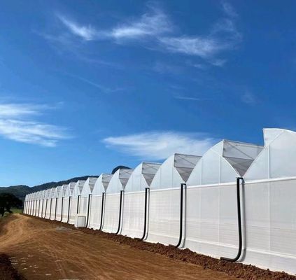 Système de semis hydroponique en plastique à double couche de type Venlo pour l'agriculture