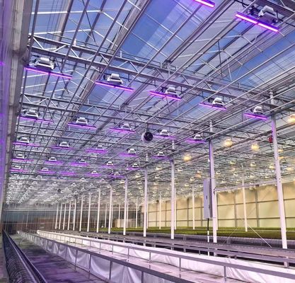 Système de semis hydroponique en plastique à double couche de type Venlo pour l'agriculture