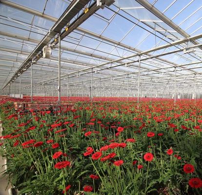 Système de semis hydroponique en plastique à double couche de type Venlo pour l'agriculture