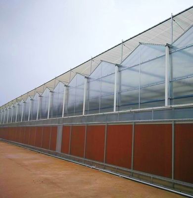 Système de semis hydroponique en plastique à double couche de type Venlo pour l'agriculture