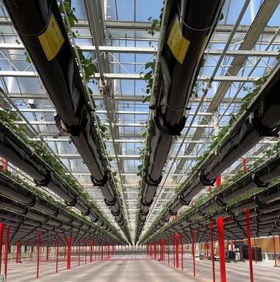 Système de semis hydroponique en plastique à double couche de type Venlo pour l'agriculture